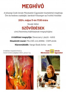Novák Ildikó - Szövődések  plakát