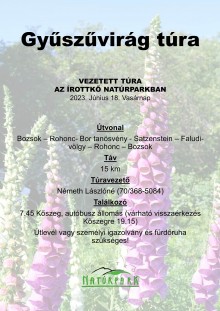Gyűszűvirág túra  plakát