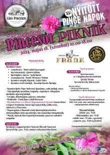 Pünkösdi Pincesori Piknik - Cák  plakát