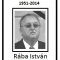 In memoriam Rába István